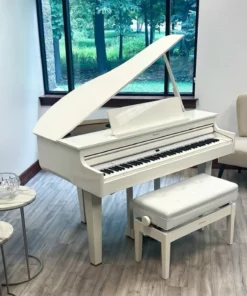 ROLAND GP-607 PW (USED)