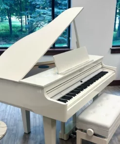 ROLAND GP-607 PW (USED)