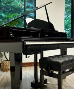 ROLAND GP-607 PE