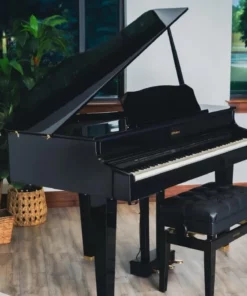 ROLAND GP-607 PE
