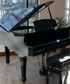 Roland GP-609 PE (USED)