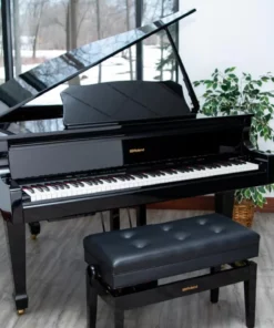 Roland GP-609