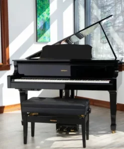 Roland GP-609
