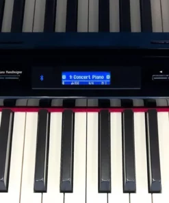 Roland GP-609