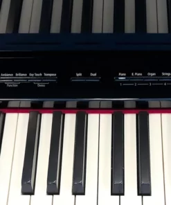 Roland GP-609