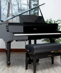 Roland GP-609
