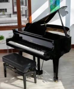 Roland GP-609