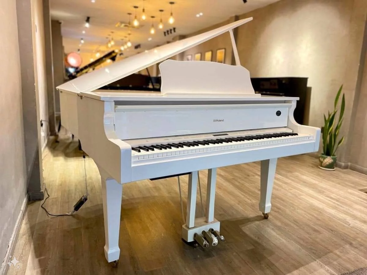 Roland GP-609 PW (USED)