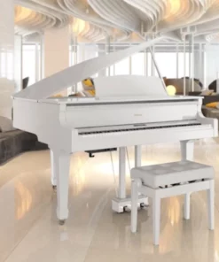 Roland GP-609 PW