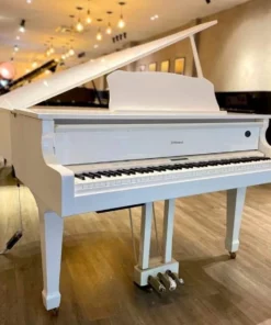 Roland GP-609 PW