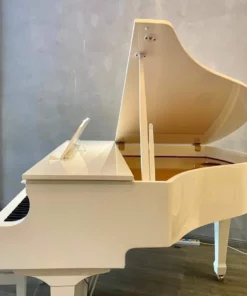 Roland GP-609 PW