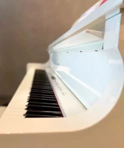 Roland GP-609 PW
