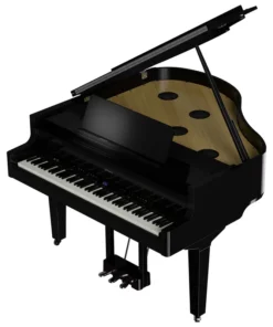 ROLAND GP-9 PE (USED)