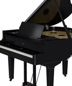 ROLAND GP-9 PE (USED)