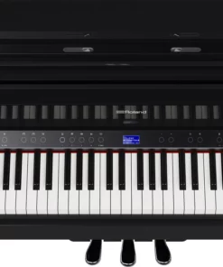 ROLAND GP-9 PE (USED)
