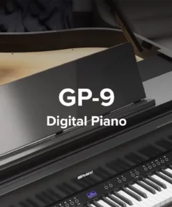 ROLAND GP-9 PE