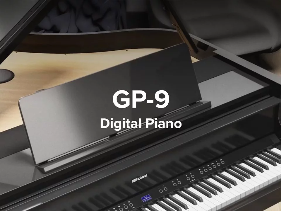 ROLAND GP-9 PE