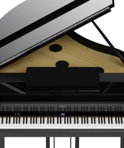 ROLAND GP-9 PE