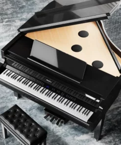ROLAND GP-9 PE