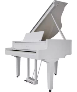 ROLAND GP-9 PW