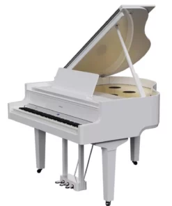 ROLAND GP-9 PW