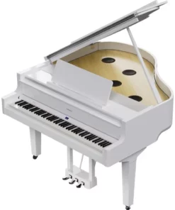 ROLAND GP-9 PW