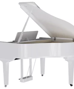 ROLAND GP-9 PW