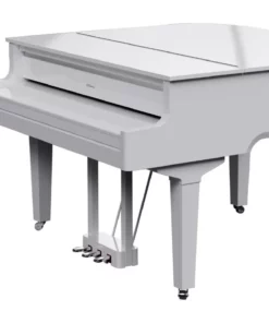 ROLAND GP-9 PW
