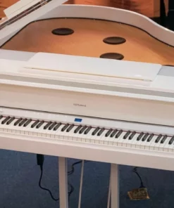 ROLAND GP-9M PW