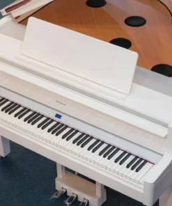 ROLAND GP-9M PW