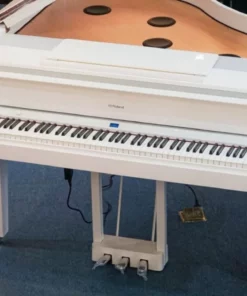 ROLAND GP-9M PW