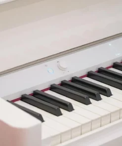 ROLAND GP-9M PW
