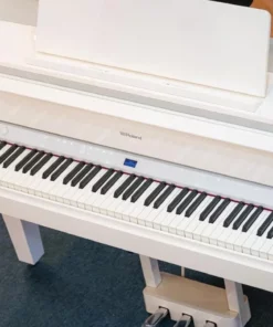ROLAND GP-9M PW