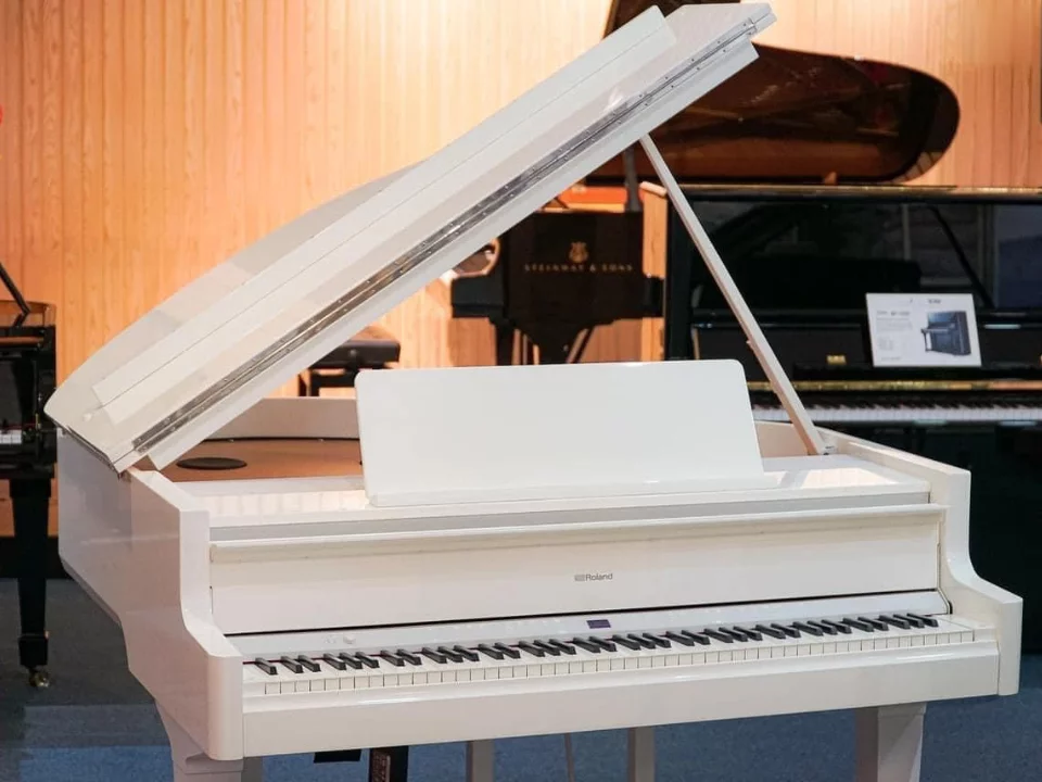 ROLAND GP-9M PW