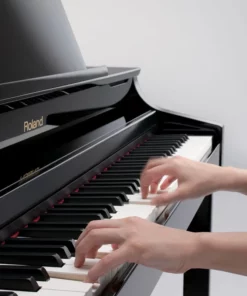 ROLAND HP-307 GP