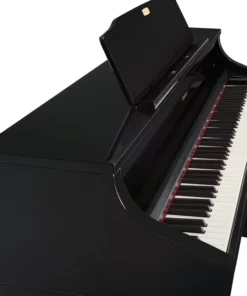 ROLAND HP-508 PE