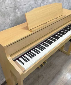ROLAND HP-605 LW
