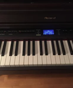 ROLAND HP-207