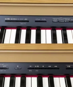 ROLAND HP-601 LW