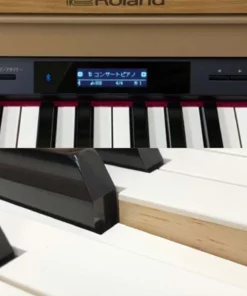 ROLAND HP-601 LW