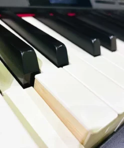 ROLAND HP-605GP SB