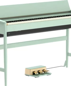 ROLAND Kiyola KF-20 KG
