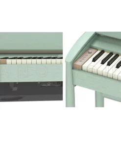 ROLAND Kiyola KF-20 KG