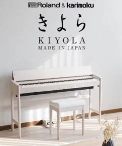 ROLAND Kiyola KF-20 KS