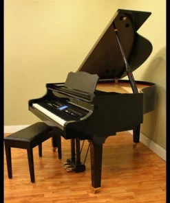 Roland KR-1077