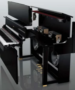 ROLAND LX-17 PE