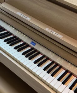 ROLAND LX-5 LO