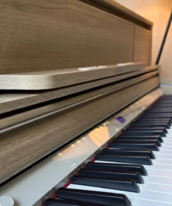 ROLAND LX-5 LO