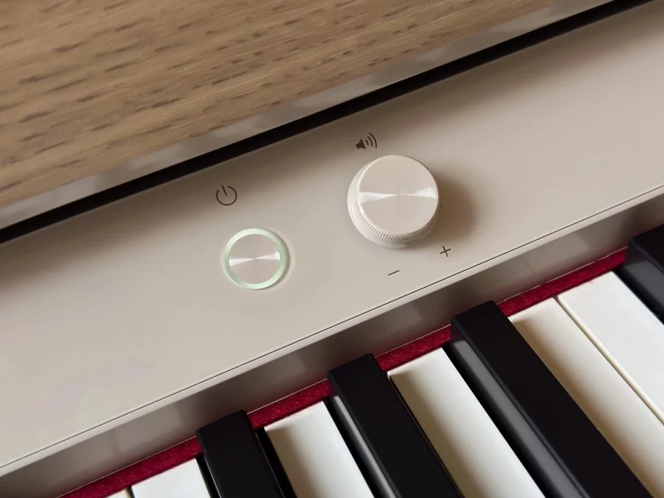 ROLAND LX-5 LO – Mặt sau và hệ thống dây đàn Roland