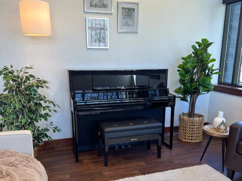 ROLAND LX-6 PE tại Nah Music TP.HCM – Không gian trưng bày